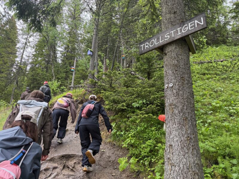 Summer hiking in Are, Sweden. Image © PlanetSKI